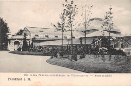 Frankfurt A. M. Aussenansicht Der Neuen Pflanzenschauhäuser Ngl #151.837 - Autres & Non Classés