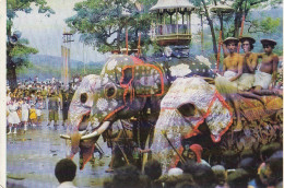 CL Festival Of Sri Lanka. Kandy Pershera Gl1983 #D5308 - Other & Unclassified