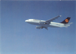 Lufthansa Airbus A310-300 Ngl #151.681 - Andere & Zonder Classificatie