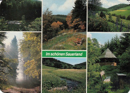 Im Schönen Sauerland Mehrbildkarte Gl1987 #D5955 - Other & Unclassified