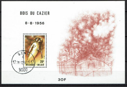 1981 Bloc 57 (N°2018) - Mijnramp - Bois Du Cazier - Catastrophe Minière - Gestempeld - Oblitéré - 1961-2001