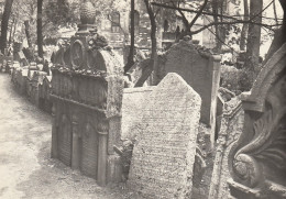 Praha Starý Zidovský Hrbitov Nárobek Rabiho Jehudy Löwa Ngl #D6045 - Tchéquie