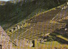 Perú Machupicchu, Inca Terraces For Agriculture Ngl #D6161 - Other & Unclassified