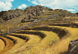 Perú Pisac, Incaic Terraces And Ruins On The Top Ngl #D6160 - Andere & Zonder Classificatie