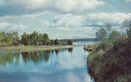 Manitoulin Island, Ont. Mouth Of Manitou River Gl1955 #D6036 - Autres & Non Classés