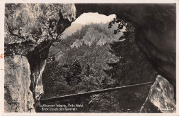 Luftkurort Tabarz Thür. Wald Blick Durch Den Torstein Ngl #154.011 - Other & Unclassified