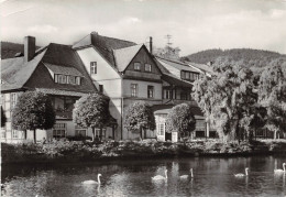 Ilsenburg (Harz) Partie Am Forellenteich Gl1985 #152.198 - Autres & Non Classés