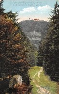 Der Inselberg (Thür. Wald) Vom Rennsteig Am Jagdberg Gesehen Gl1929 #154.071 - Autres & Non Classés