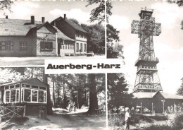 Auerberg (Harz) Gaststätte, Weg Zur Josephshöhe, Josephskreuz Ngl #152.183 - Andere & Zonder Classificatie