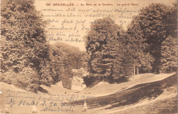 Bruxelles Au Bois De La Cambre Le Grand Ravin Feldpgl1916 #153.580 - Autres & Non Classés