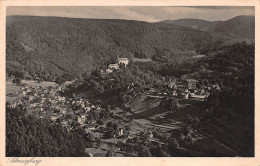 Schwarzburg Thür.Wald - Blick Vom Trippstein Gl1930 #154.311 - Other & Unclassified