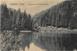 Oberhof I. Thür. Silberteich Im Silber-Grund Ngl #153.318 - Autres & Non Classés