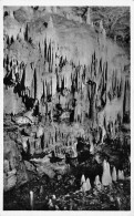 Erpfingen Schwäbische Alb Bären- U. Karlshöhle Ngl #170.970 - Other & Unclassified