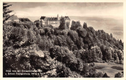 Blick Von Der Freundschaftshöhle Auf Schloss Heiligenberg Gl1953 #170.930 - Autres & Non Classés