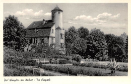 Bad Wimpfen Im Kurpark Ngl #170.924 - Autres & Non Classés