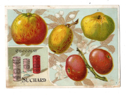 Chromo Chocolat Suchard, S 81 / L, Pommes, Dos Violet - Suchard