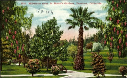 CPA Pasadena, Kalifornien, USA, Mittwinterszene, Busch's Gardens - Sonstige & Ohne Zuordnung