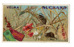 Chromo Chocolat Suchard, S 163 / 6, Souris - Suchard