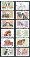 FRANCE -  Tendres Animaux (2023) - Used Stamps