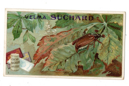 Chromo Chocolat Suchard, S 163 / 3, Coleoptère - Suchard