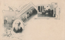 Multi View Pioneer Card Undivided Back Tolstoi - Russia