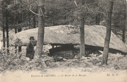 CARTE POSTALE ORIGINALE ANCIENNE : CASTRES LE ROCHER DE LA BARQUE ANIMEE TARN (81) - Castres