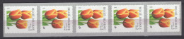 R93 (2855) Fleur Bloemen Buzin Tulipe En Bande De 5 Belgïe Belgique Neuf ** - Coil Stamps