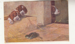 J85. Vintage Cecami Italian Postcard.Puppies And Dead Bird. By Notfini. - Honden