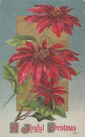 J57. Vintage Greetings Postcard.  Poinsettia Plant. - Other & Unclassified