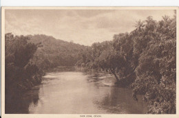 J45. Vintage Tucks Postcard. River Scene, Ceylon - Sri Lanka (Ceylon)