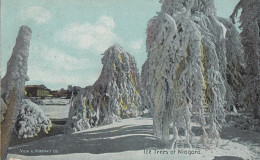 J36. Vintage Postcard. Ice Trees At Niagara. - Cataratas Del Niágara