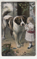 J49. Vintage Postcard. Doubtful Introduction. St.Bernard Puppy And Kitten. - Dogs