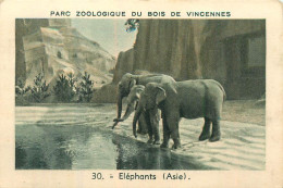La Grande Pharmacie CHENU à MONTFERRAND Image Parc Zoologique De Vincennes ELEPHANTS - Andere & Zonder Classificatie