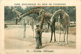La Grande Pharmacie CHENU à MONTFERRAND Image Parc Zoologique De Vincennes GIRAFES - Andere & Zonder Classificatie