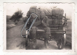 PHOTO  GUERRE CAVALERIE ET SOLDAT ALLEMAND CAMPAGNE 1940 EN FRANCE LA FATIQUE - Guerra, Militari