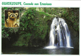 Guadeloupe Cascade Aux écrevisses - Autres & Non Classés
