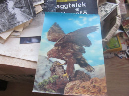 3 D Postcards Eagle - Birds