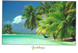 Guadeloupe - Andere & Zonder Classificatie
