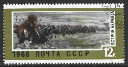 Russia 1966. Scott #3286 (U) Fur Seals, Bering Island - Oblitérés