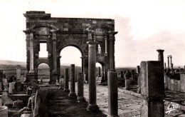 CPSM - TIMGAD - Ruines Romaines - LOT 3 CP (format 9x14) - Andere & Zonder Classificatie