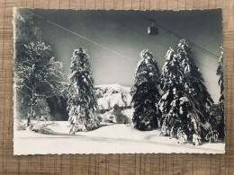 MONT DORE LES BAINS Le Téléférique Du Sancy En Hiver - Le Mont Dore