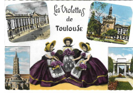 Toulouse Les Violettes - Toulouse