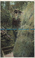 R669682 Isle Of Wight. Shanklin Chine. Ideal Series - Monde