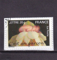 FRANCE OBLITERES : 2005 Sur Fragment Y/T N° 3804 - Oblitérés