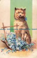 R669683 Dog And Blue Flowers. P. F. B. Serie 5575. 1906 - Monde