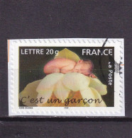 FRANCE OBLITERES : 2005 Sur Fragment Y/T N° 3804 - Gebraucht