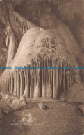 R670442 Cheddar. Gough Caves. The Organ Pipes. William Gough - World