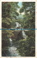 R669718 Newcastle On Tyne. Jesmond Dene. Waterfall. G. D. And D - Monde