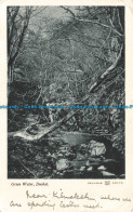 R669729 Duchal. Green Water. W. R. And S. Reliable Series. 1904 - World