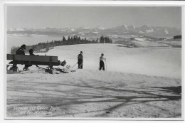 Heimat Bern:  Skifelder Auf Gurten Kulm Mit Den Hochalpen Um 1940 - Other & Unclassified